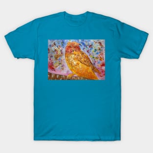 Twit TwoThsio, I'm Looking at You! T-Shirt